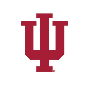 Indiana University IU Logo White Nintendo 2DS XL (2017) Skin